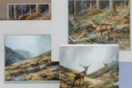 Four colour plates of deer by E CALDWELL, circa 1915. The largest 40x32 cms overall.
