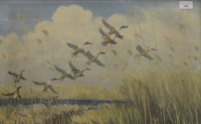 PETER SCOTT, Ducks in Flight, print, framed and glazed. 59.5 x 36 cm.