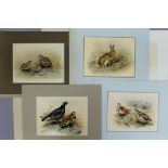 Fourteen colour plates of game birds and two of hares by G E LODGE, Circa 1910.