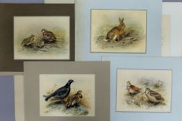 Fourteen colour plates of game birds and two of hares by G E LODGE, Circa 1910.