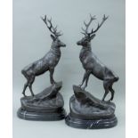 A pair of bronze stags. 75 cm high.