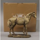 A boxed bronzed model of a horse. 16 cms high.