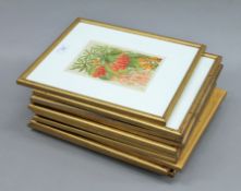 A quantity of framed and glazed floral book plates. Each approximately 27.5 x 33.5 cm.