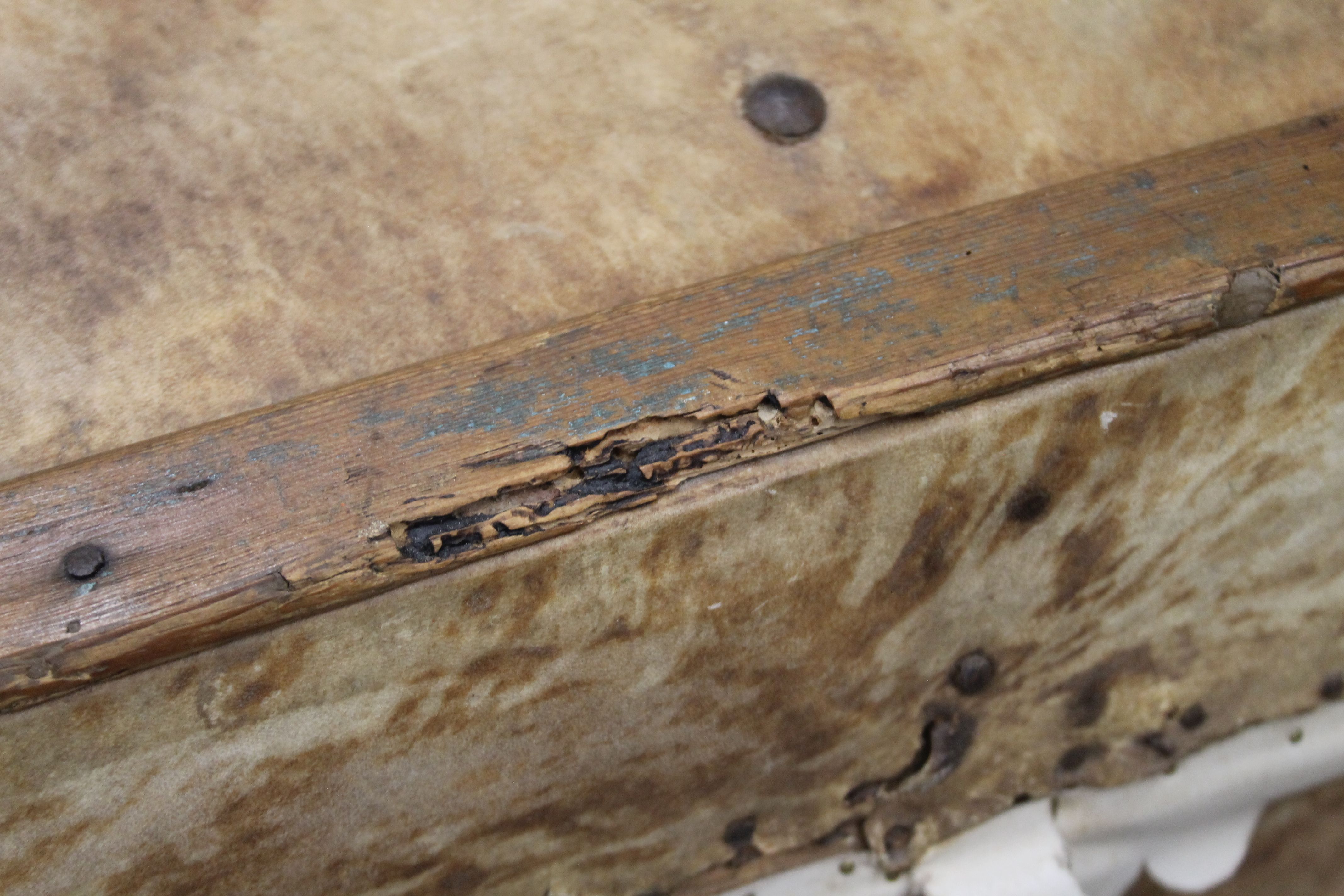 A 19th century hide covered domed trunk. 103 cm wide. - Image 4 of 6