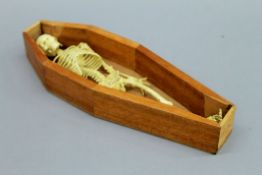 A model of a skeleton in a coffin. The coffin 30.5 cm long.