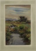CHARLOTTE M ALSTON (exhibited 1887-1914), Stream in a Landscape, watercolour, signed,