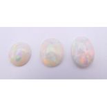 Three loose opals. Each approximately 1 cm long.