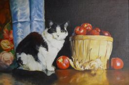 GILBERT, Cat and Apples, oil on canvas, framed. 75 x 49.5 cm.