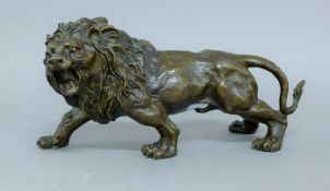 A bronze model of a lion. 32 cm long.