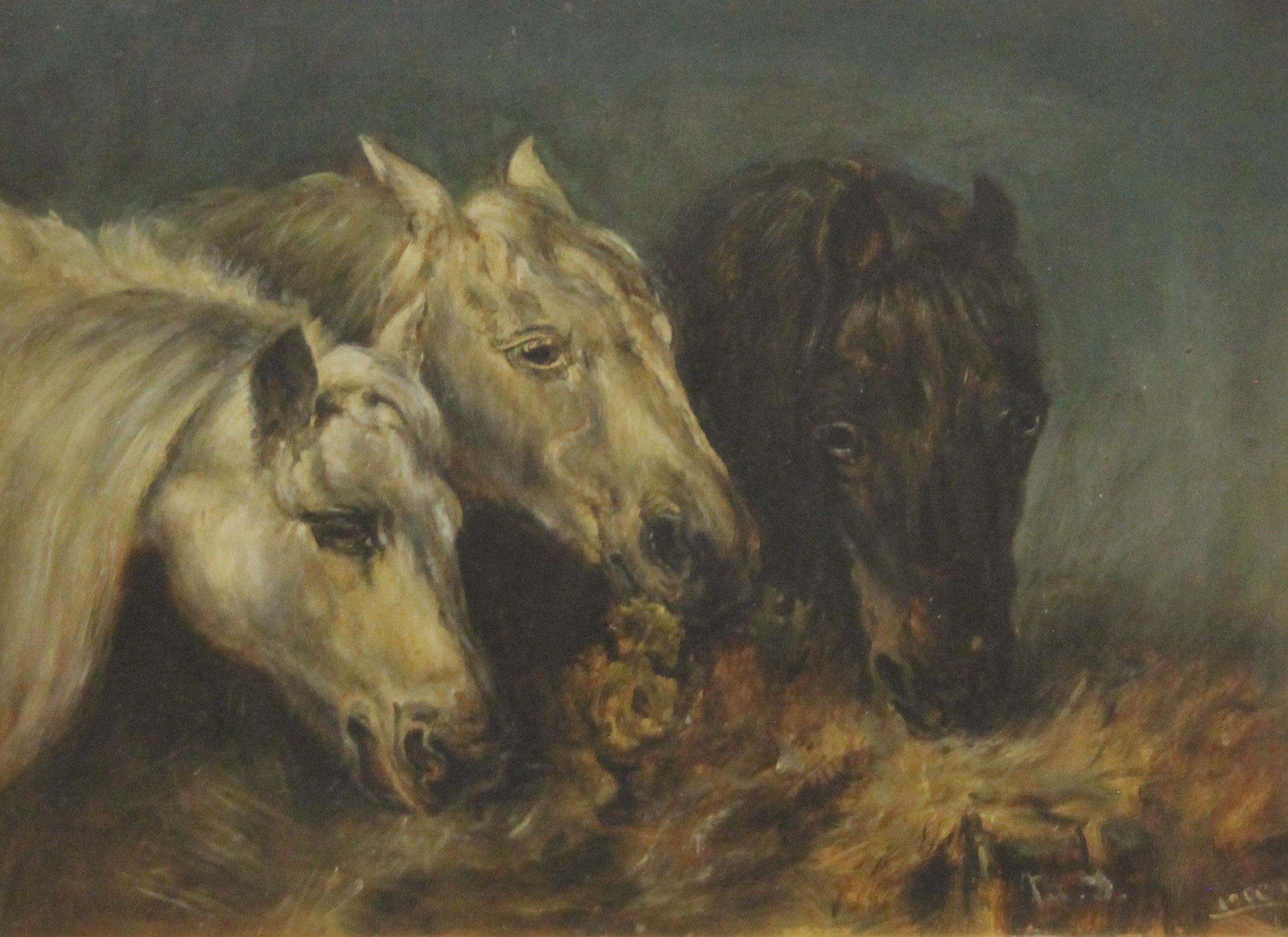 Two Horse Studies, oils on board, indistinctly signed, framed and glazed. 27 x 20 cm.