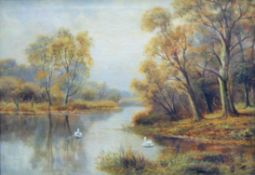 SYDNEY YATES JOHNSON, Swans on a River, oil on canvas, unsigned, old label to reverse, framed.