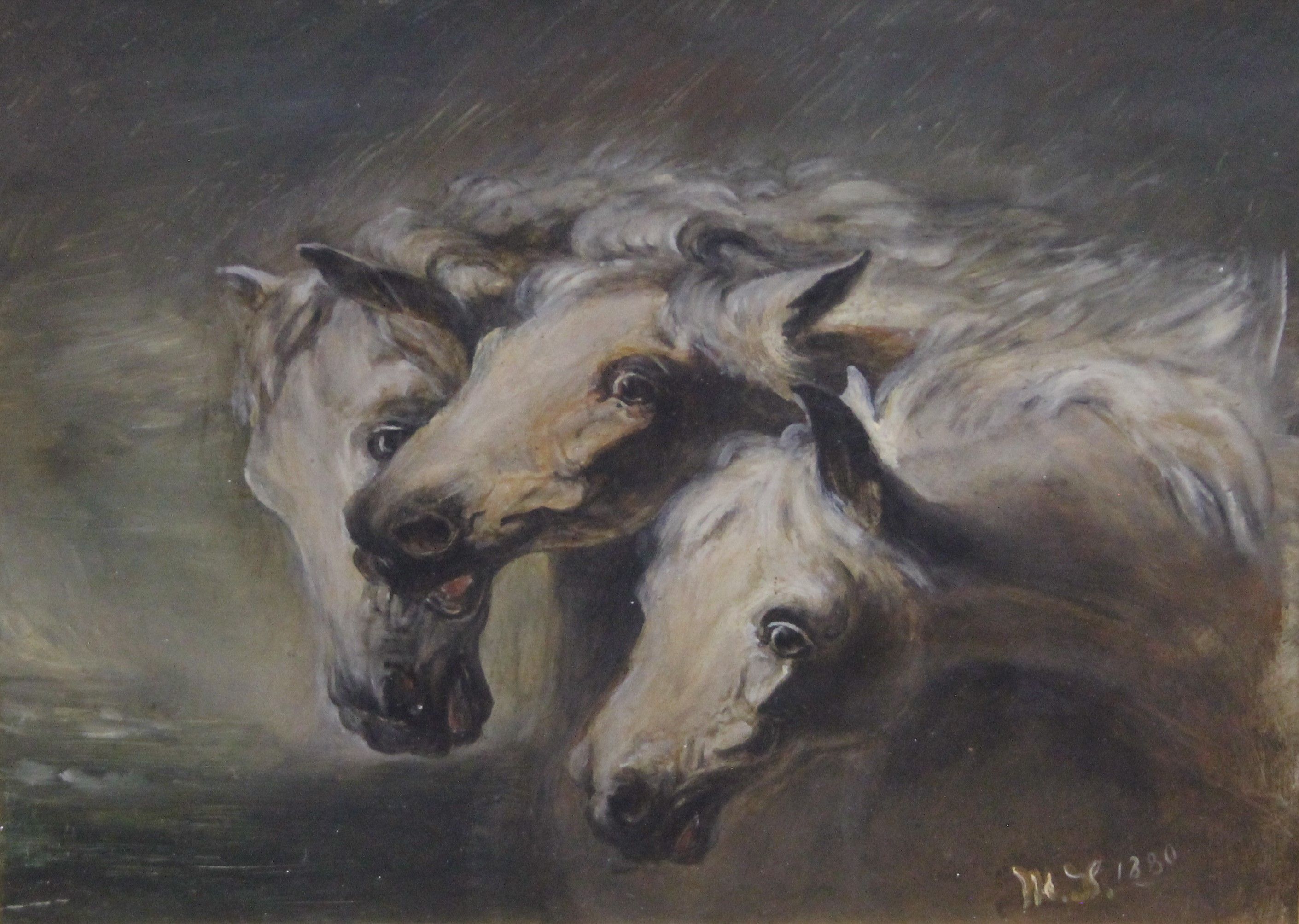 Two Horse Studies, oils on board, indistinctly signed, framed and glazed. 27 x 20 cm. - Image 4 of 7