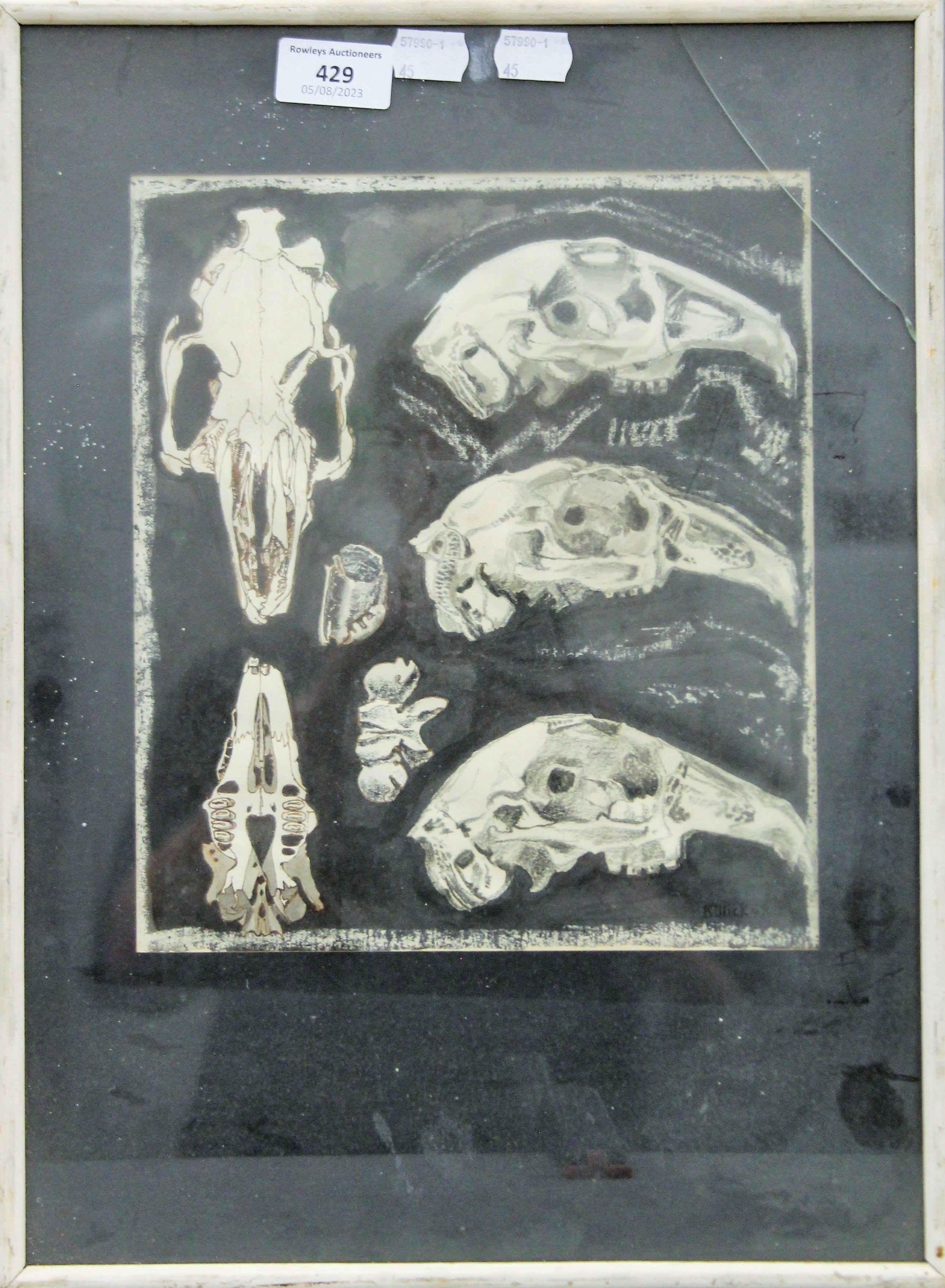 Study of an Animal Skull, signed Killick '69, framed and glazed. 31.5 x 43 cm overall. - Image 2 of 2