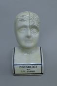 A Phrenology head. 28 cm high.