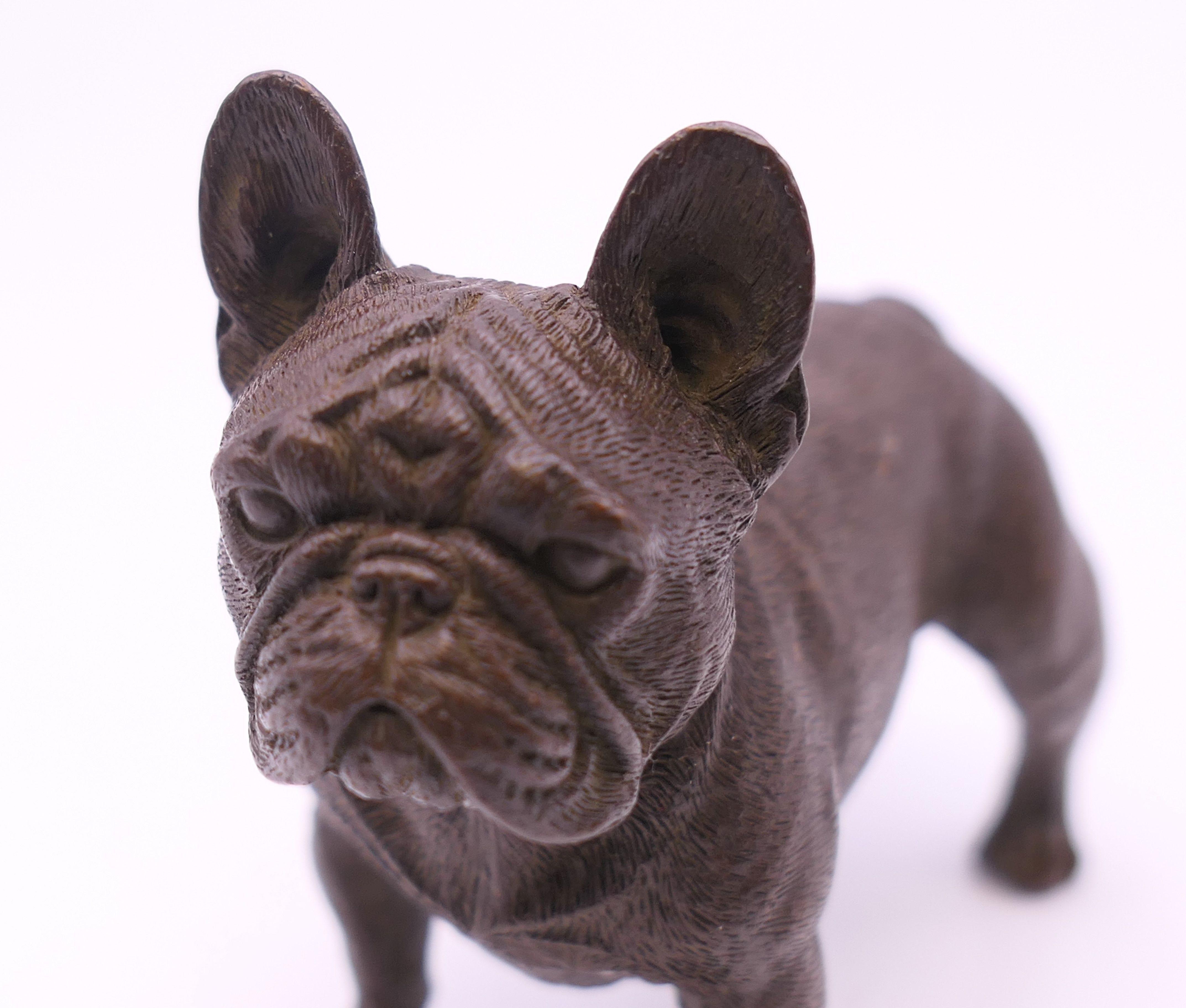 A bronze model of a French Bulldog. 7.5 cm long. - Image 5 of 5