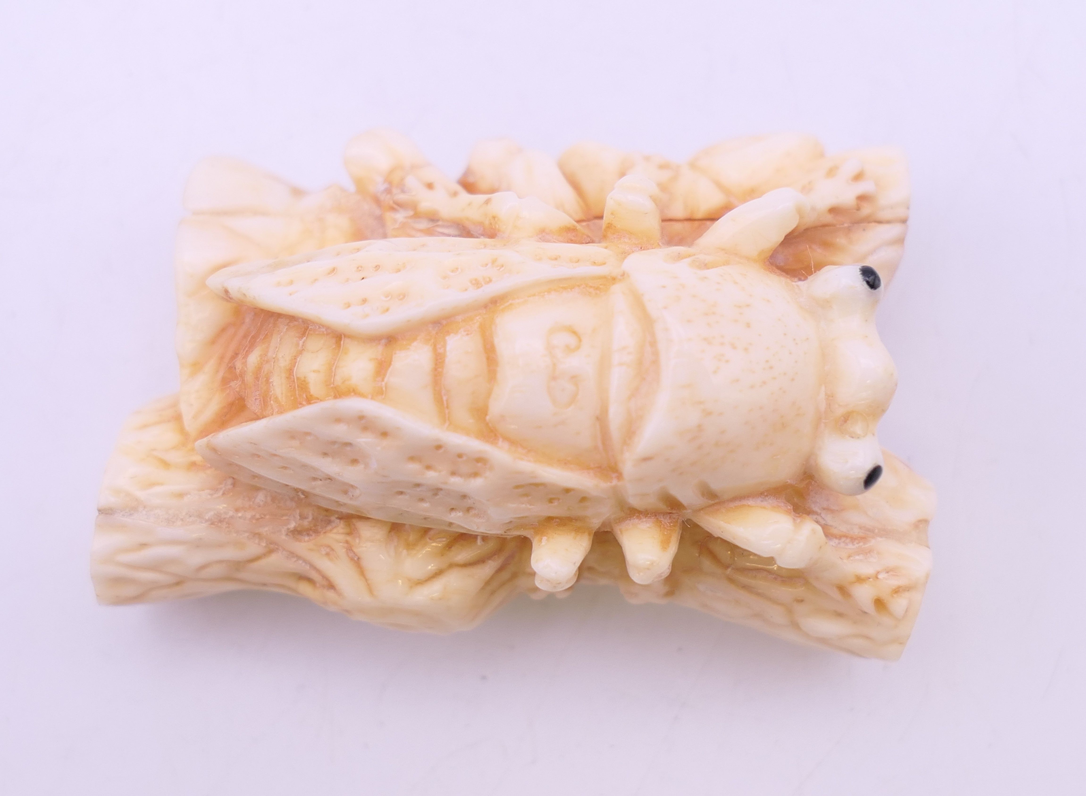 A bone fly carving. 5 cm long. - Image 3 of 4