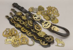 A small quantity of various horse brasses.