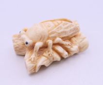 A bone fly carving. 5 cm long.