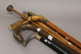 A quantity of various walking sticks.