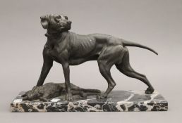 An early 20th century animalier group formed as a dog and rabbit on a marble plinth base. 32.