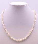 A single strand pearl necklace with a 14 K gold clasp. 42 cm long.