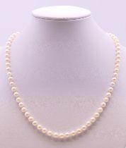 A single strand pearl necklace with a 14 K gold clasp. 42 cm long.