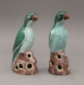 A pair of 20th century Chinese pottery models of parrots. 22 cm high.