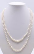 A two strand pearl necklace with a 9 ct gold clasp. 43 cm long.