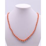 A coral bead necklace. 45 cm long.
