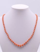 A coral bead necklace. 45 cm long.