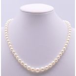 A single strand pearl necklace with a 9 ct gold clasp. 40 cm long.