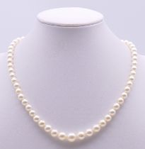 A single strand pearl necklace with a 9 ct gold clasp. 40 cm long.