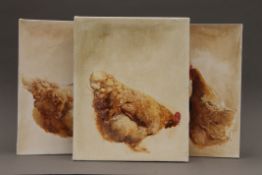 SOPHIE ELLIOT, Chickens, three acrylics on canvas, unframed. 24 x 29.5 cm.