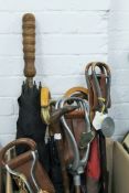 A quantity of vintage shooting sticks, umbrellas and a walking stick.