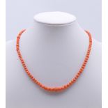 A coral bead necklace. 36 cm long.