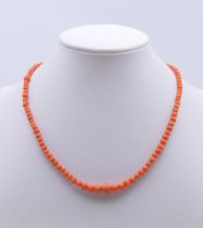 A coral bead necklace. 36 cm long.
