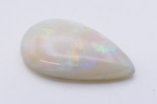 An opal specimen. 2.25 cm long.