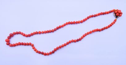 A coral bead necklace. 41 cm long.