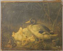 Ducks, oil on canvas, unframed. 25 x 20.5 cm.