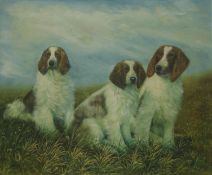 Three Dogs, oil on canvas, indistinctly signed, unframed. 61 x 51 cm.