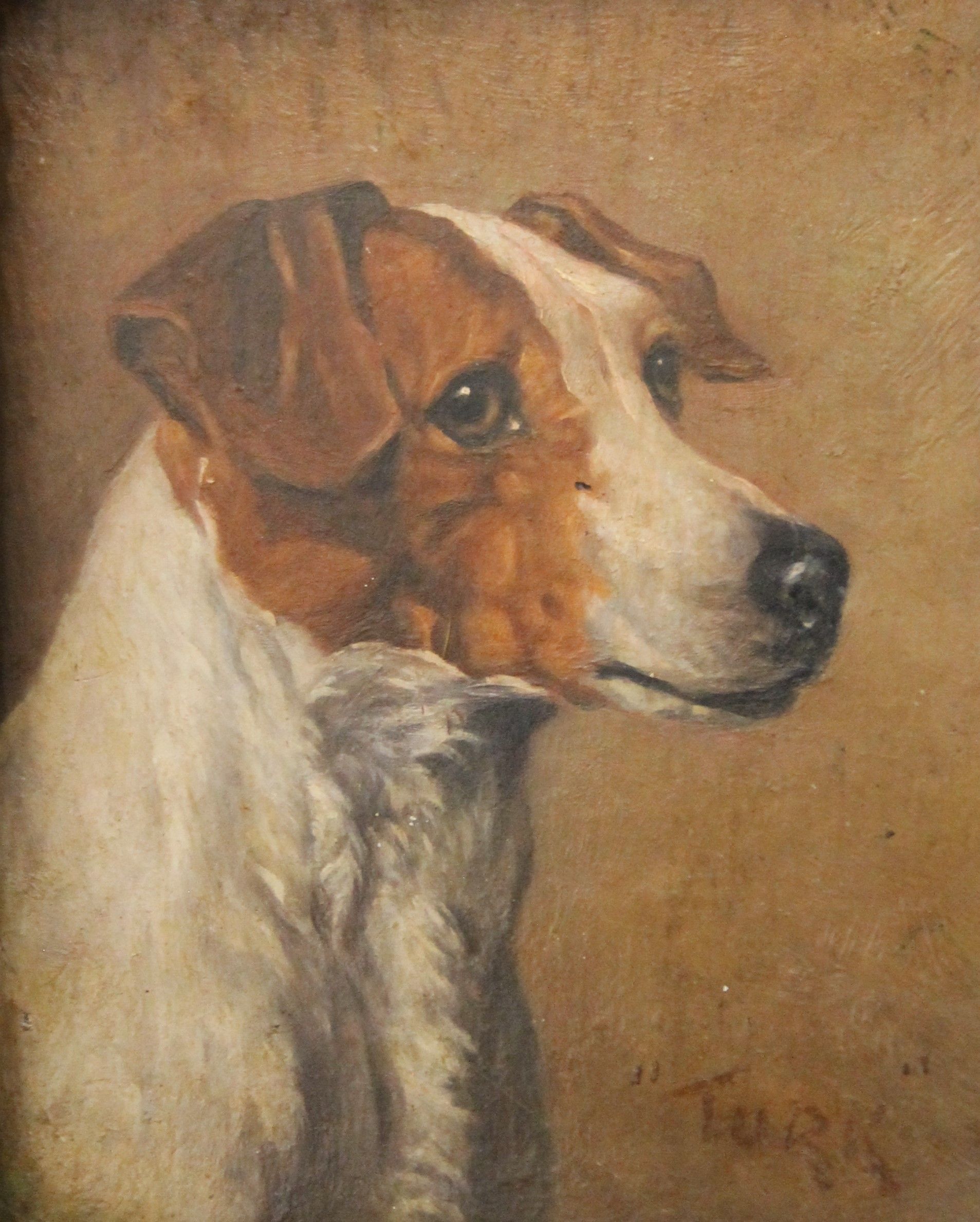 Two oils on panel Portraits of Jack Russell dogs ''Turk'' and ''Jack'', in the style of John Emms, - Image 2 of 7