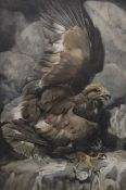 R B TALBOT KELLY (1896-1971) British (AR), Golden Eagle, watercolour, framed and glazed. 65 x 99 cm.