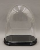 A 19th century glass dome on an ebonised plinth. 49 cm high overall.