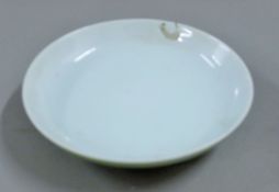 A Chinese celadon white dish. 22.5 cm diameter.