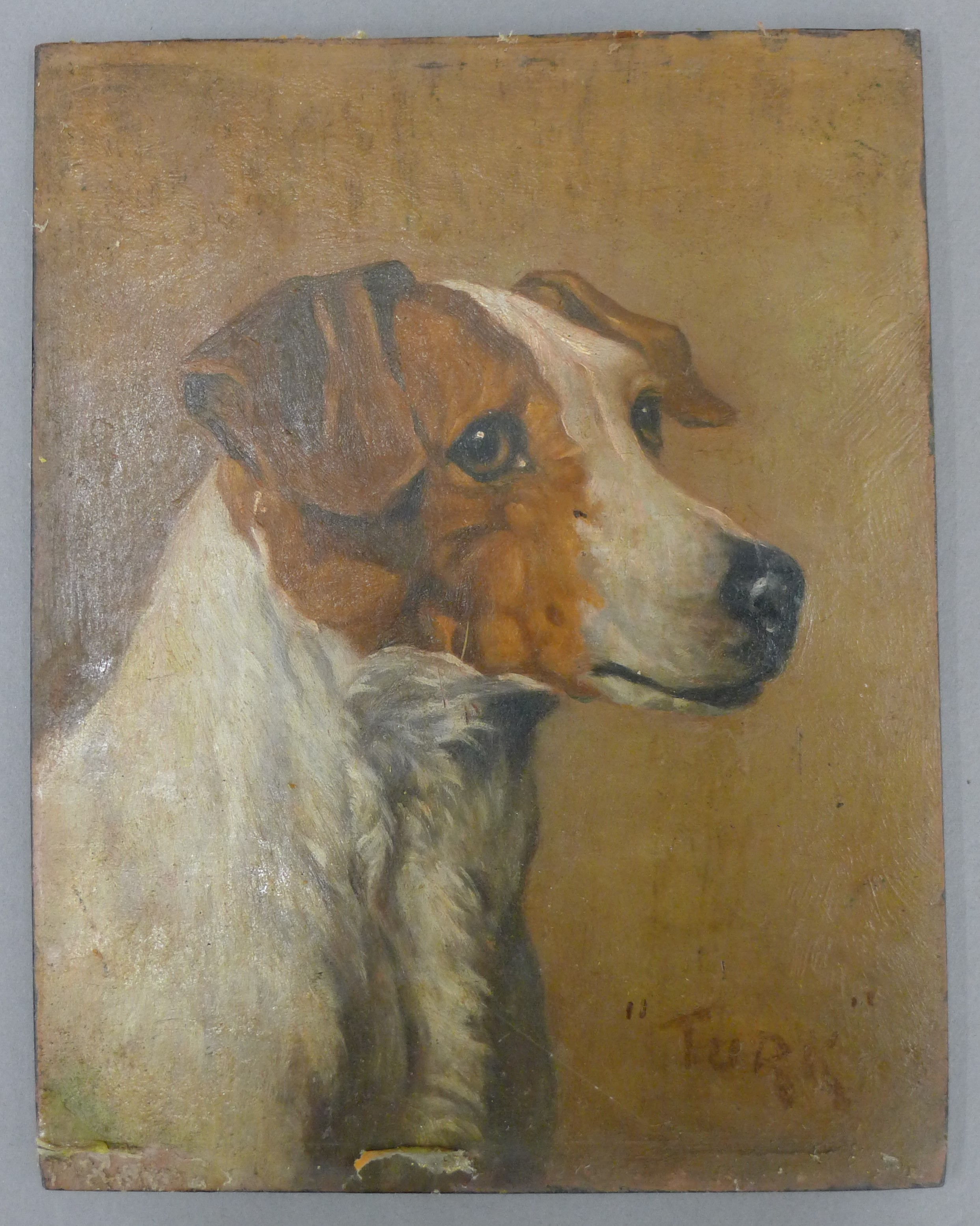 Two oils on panel Portraits of Jack Russell dogs ''Turk'' and ''Jack'', in the style of John Emms, - Image 4 of 7