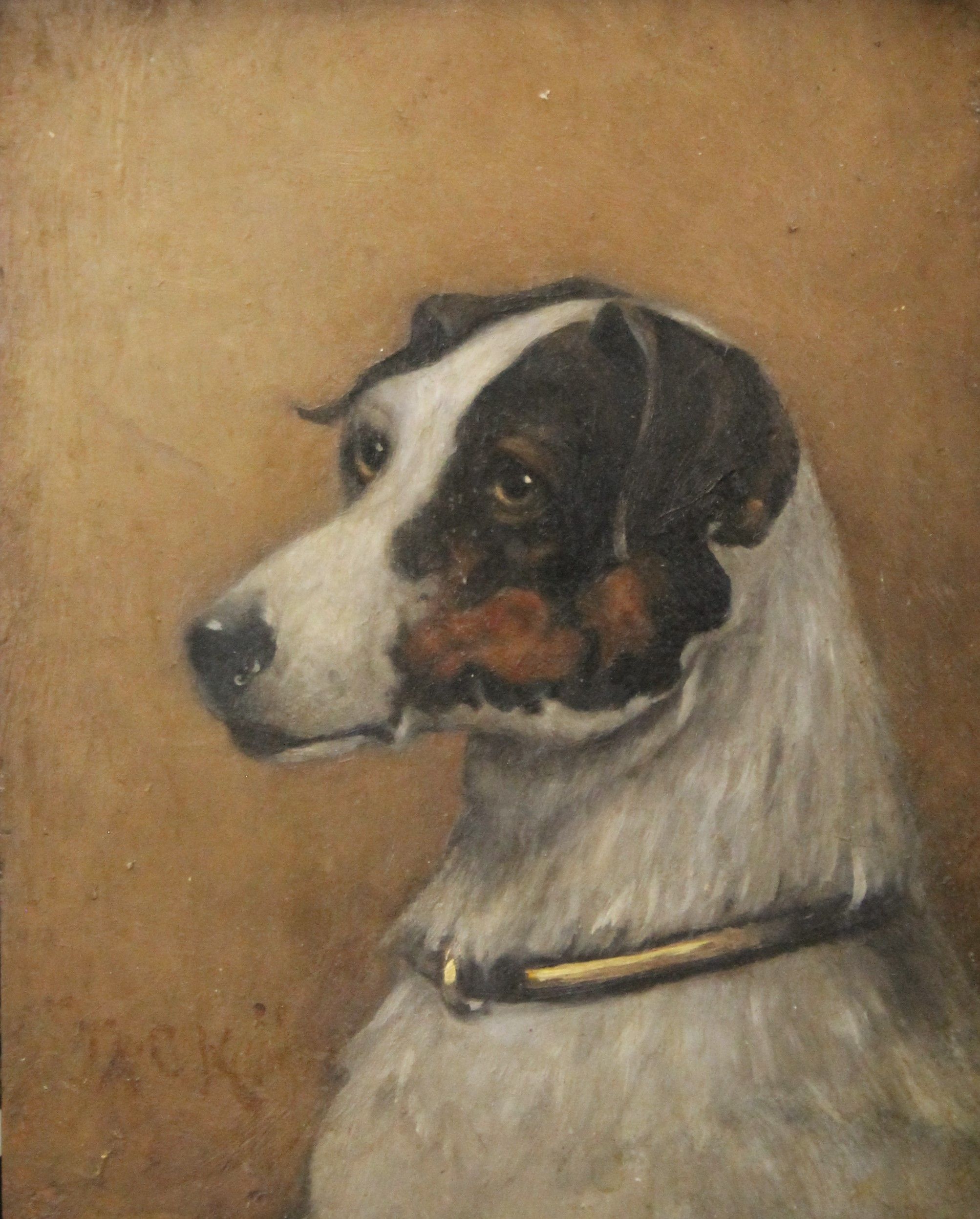 Two oils on panel Portraits of Jack Russell dogs ''Turk'' and ''Jack'', in the style of John Emms, - Image 3 of 7