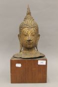 A large antique gilded bronze Buddha head on a wooden stand. 42 cm high overall.