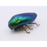 An early 20th century natural beetle form brooch. 3.5 cm long.