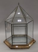 A glass terrarium. 52 cm high.