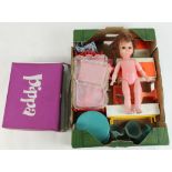 Pippa doll and her friends doll, with carry case, some clothing, accessories, and special dance